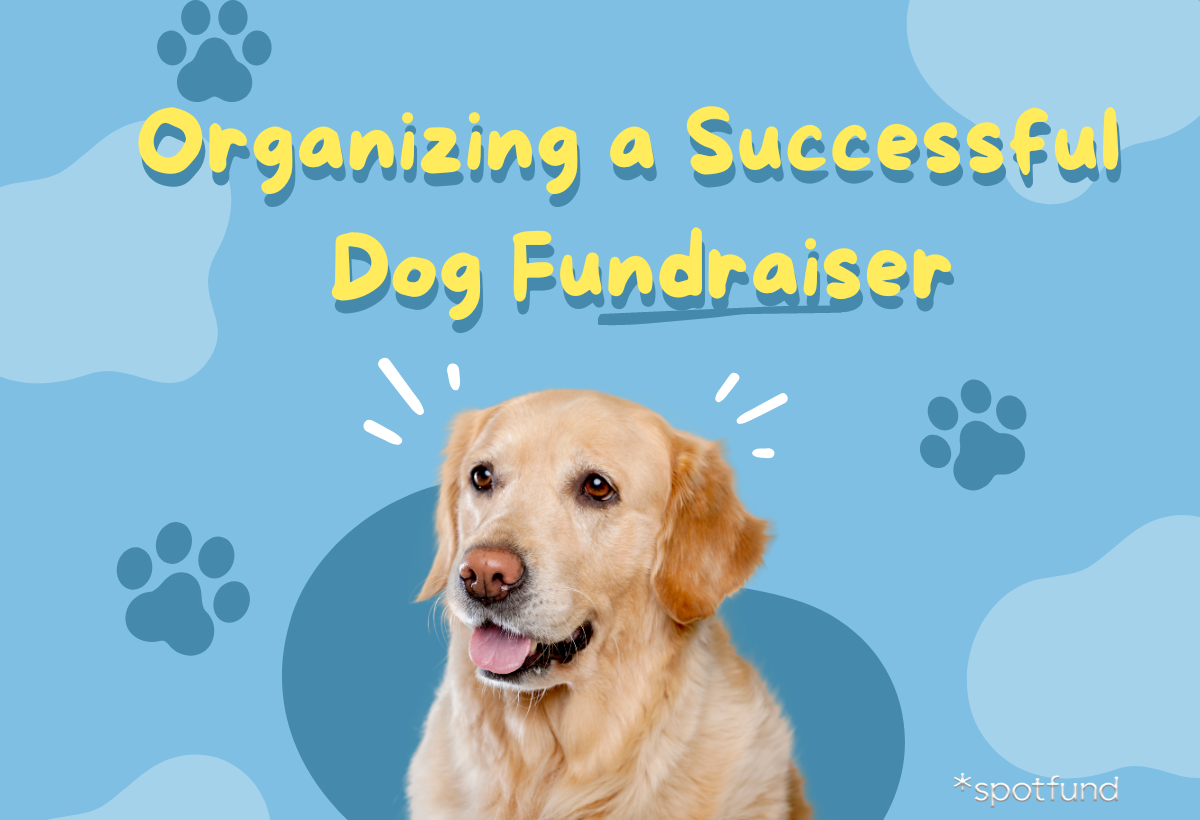 How to Organize a Successful Dog Fundraiser *spotfund
