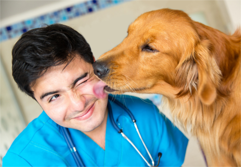 A dog is kissing its doctor.
