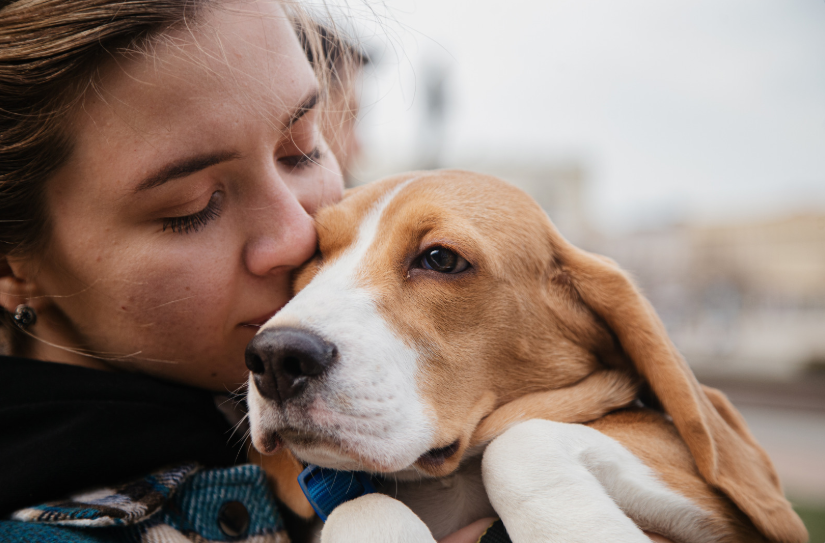 Pet financial assistance