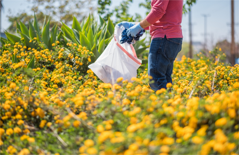 Spring cleaning fundraising events.