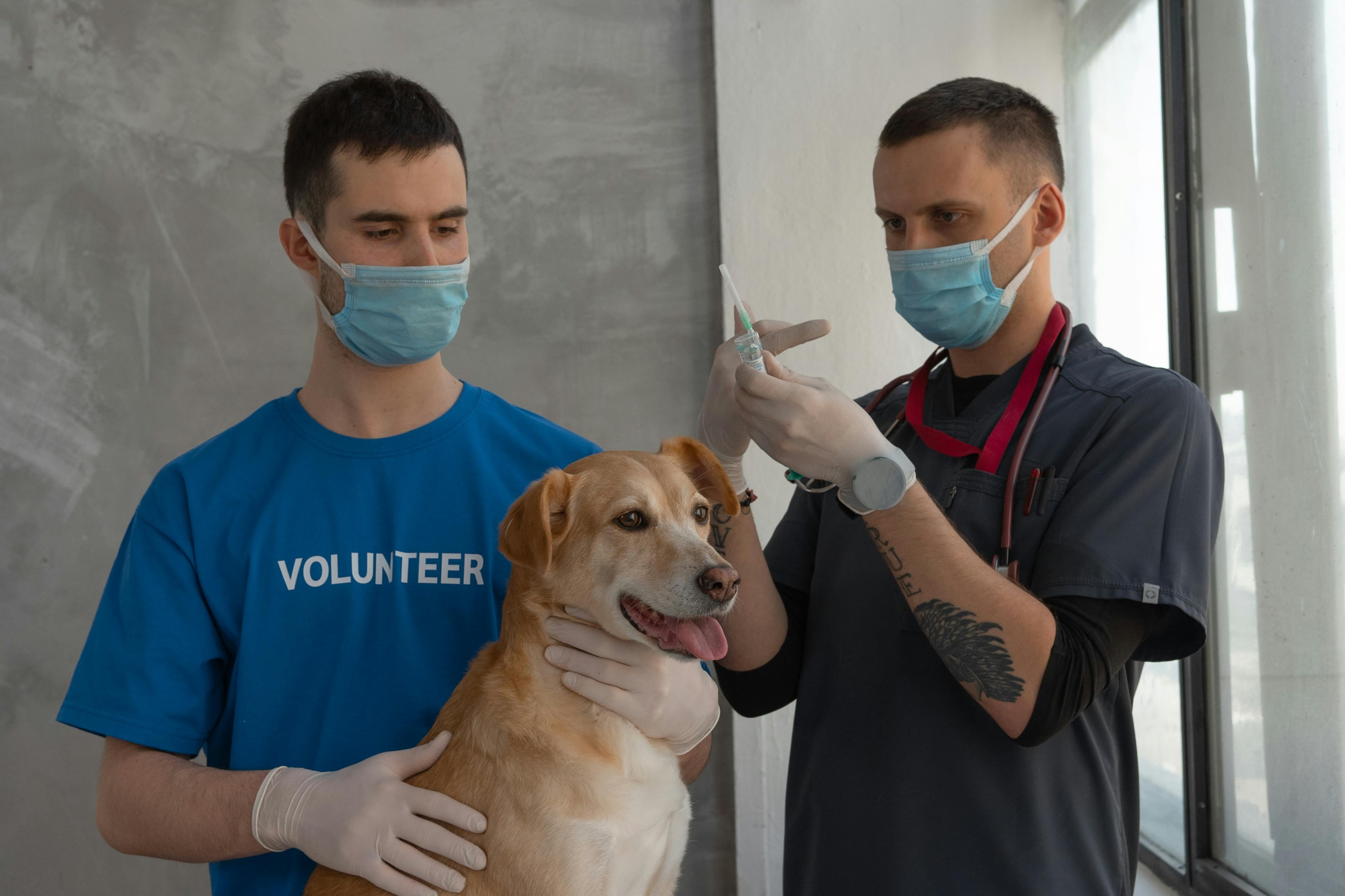 veterinary bill assistance 