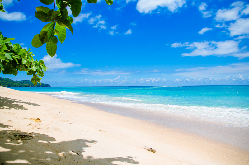 Summer fundraising ideas: Beach clean-up fundraisers.