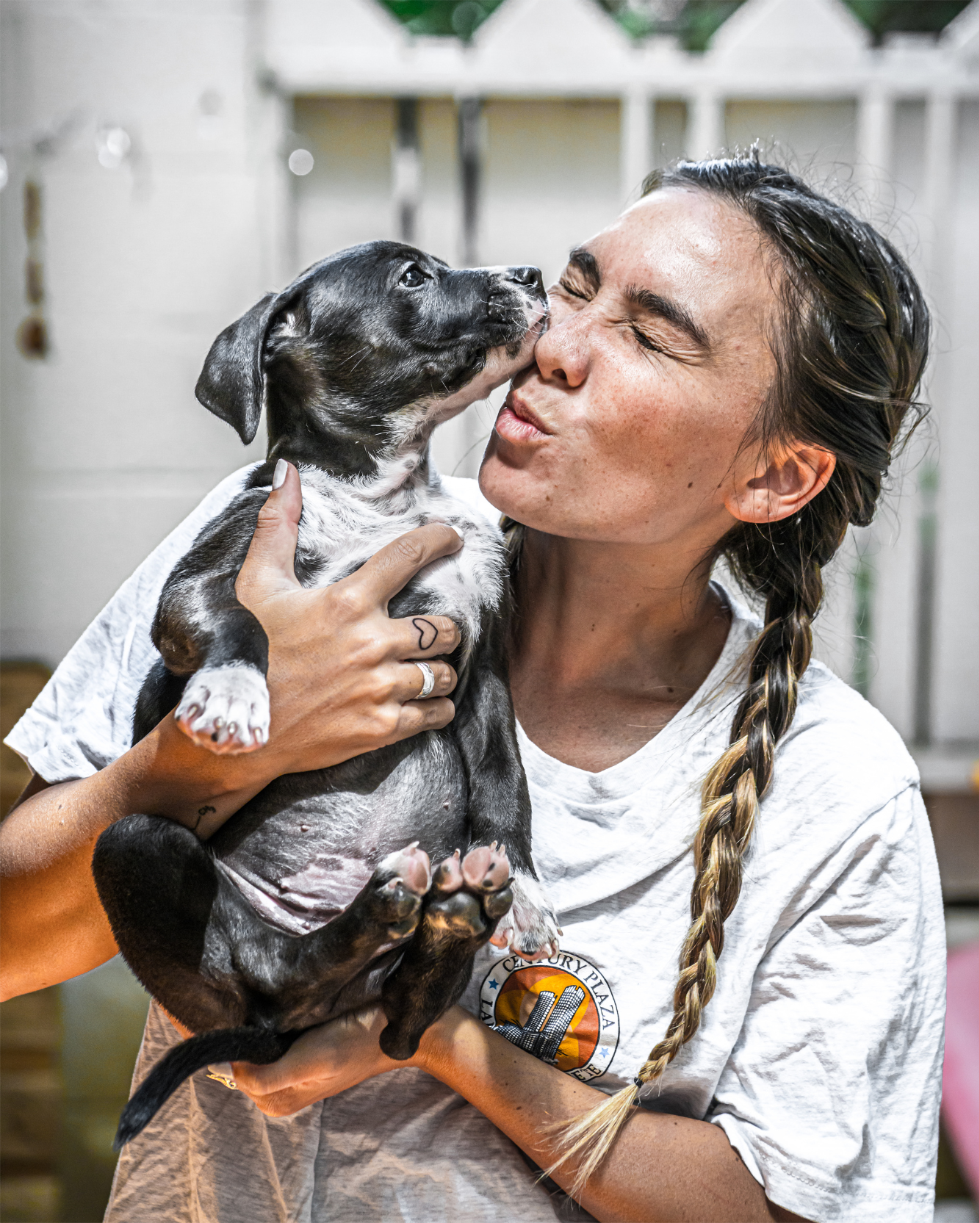 The staff in the animal shelter is kissing an adopted dog.