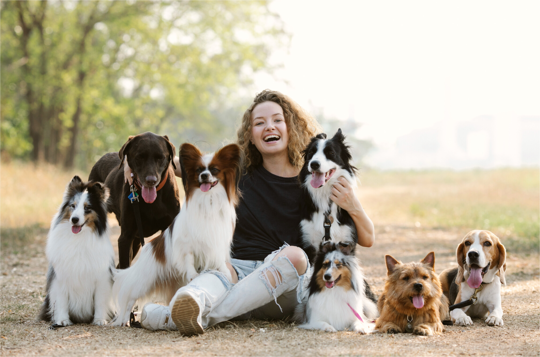 A woman is laughing happily around dogs.