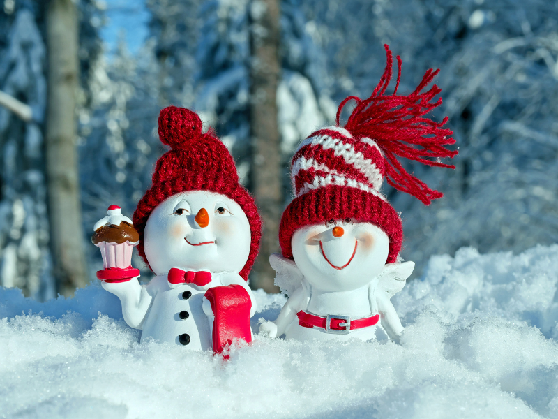 fundraiser ideas for winter