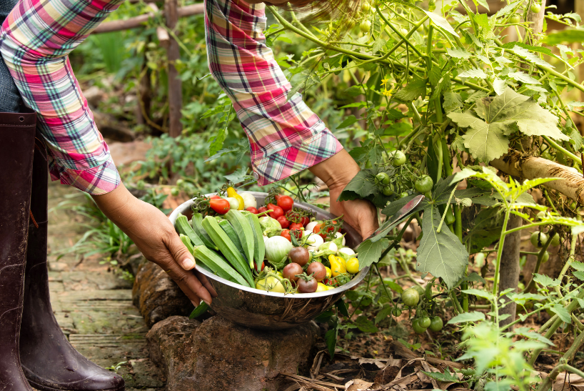 16 fall fundraiser ideas