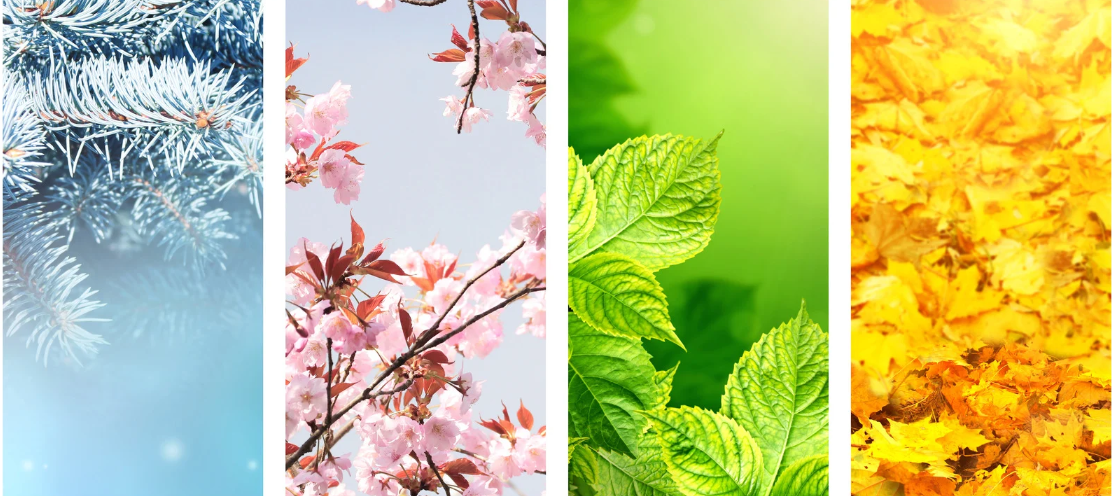 5 essential tips for succesfful seasonal fundraising.
