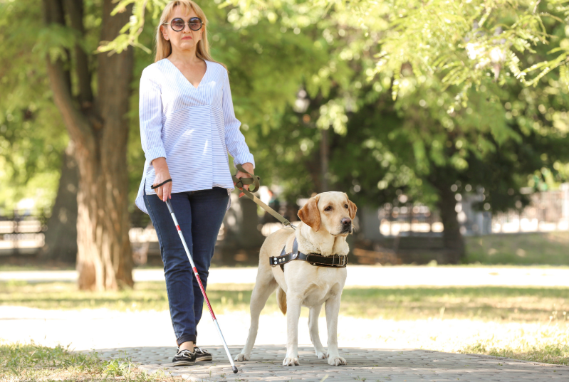 financial assistance for disabled​
