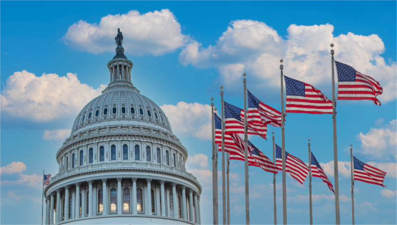 Government grants and programs.