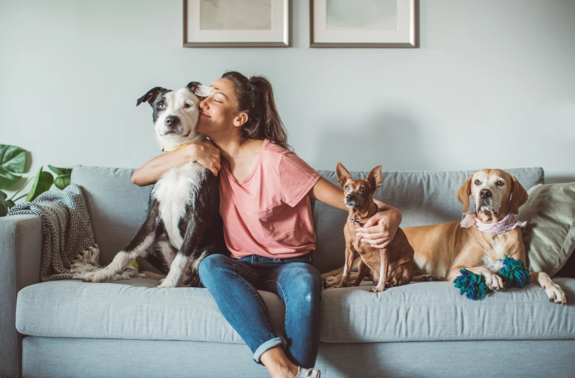 Financial assistance for emergency veterinary care