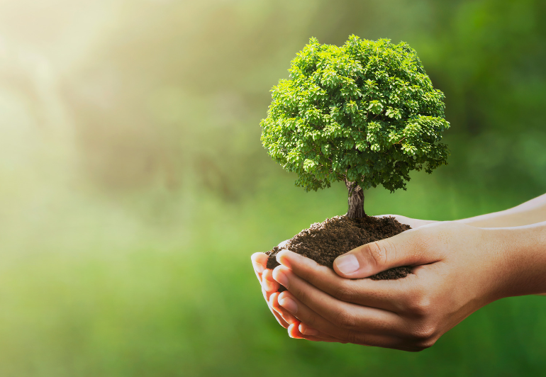 Seasonal fundraising ideas - Spring fundraing events.
