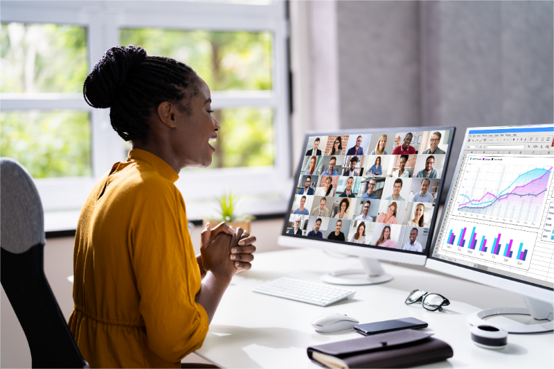 Educational webinars or lectures.