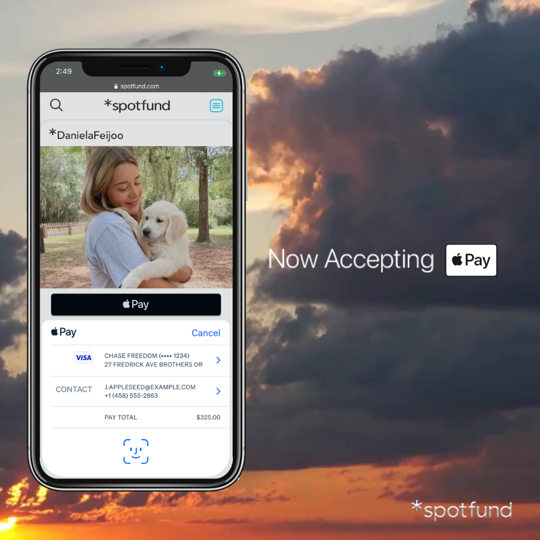 *spotfund online fundraising platform is a good choice for PTA fundraising ideas.