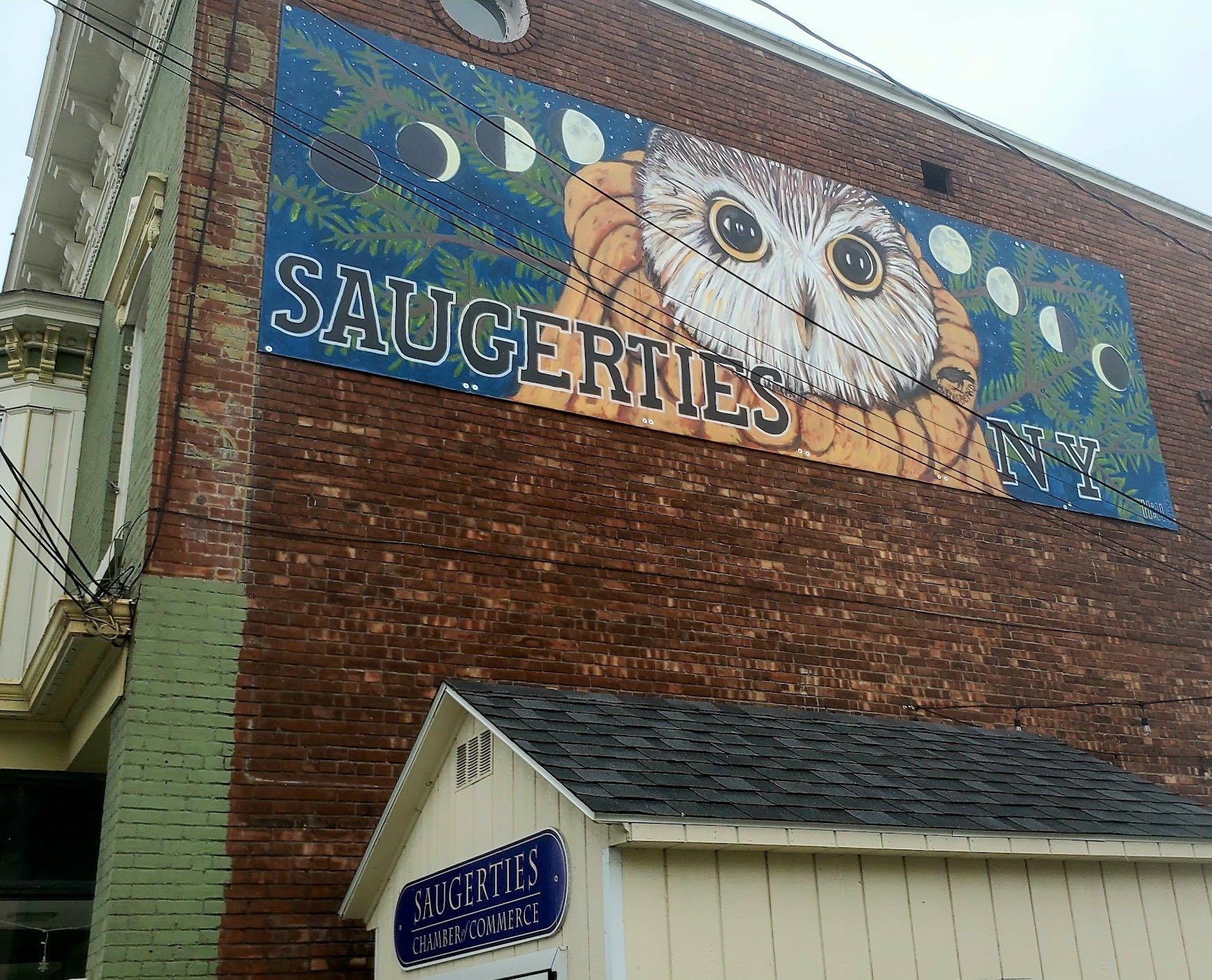 MEET THE OWLS There is - Saugerties Chamber of Commerce