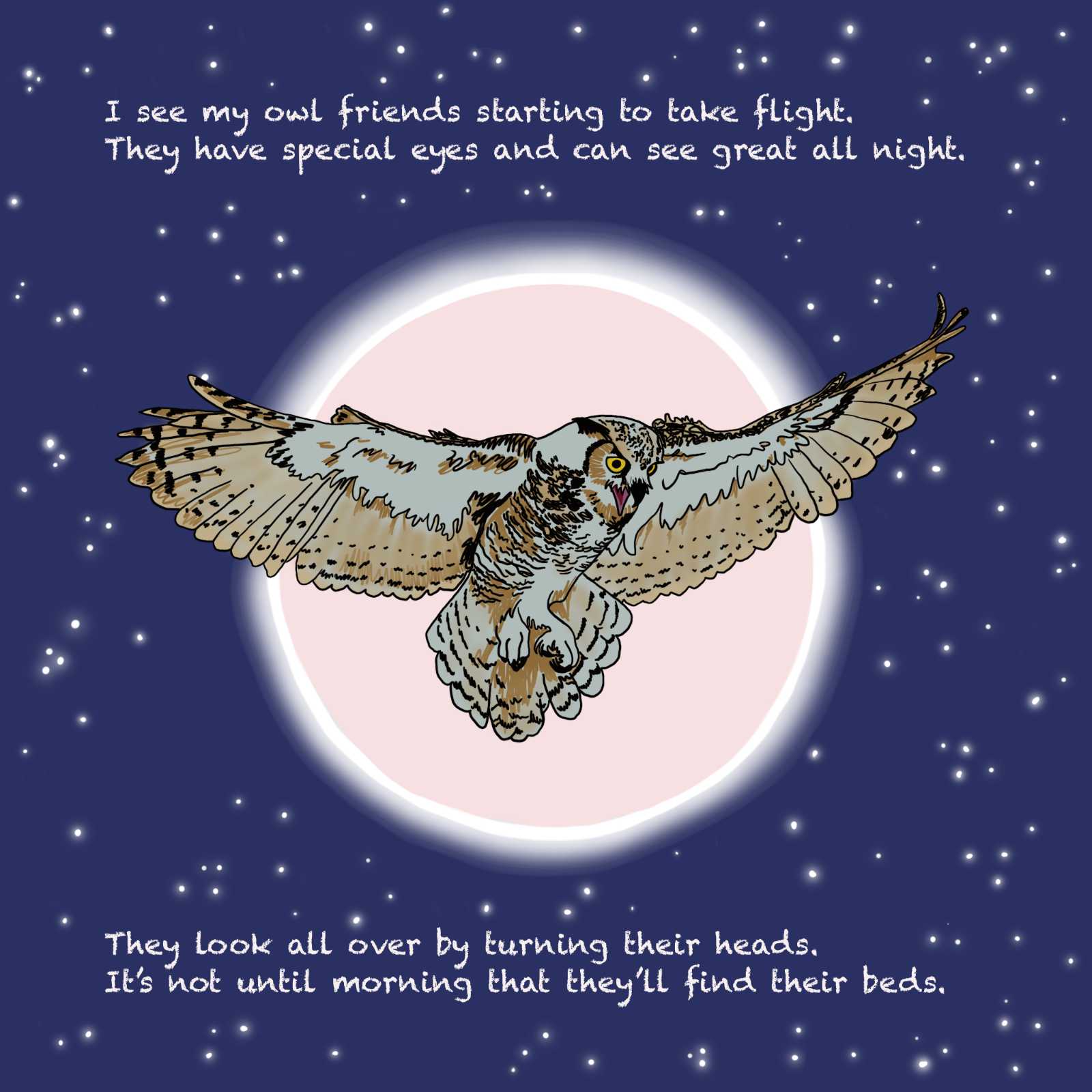 Owl and Crow Friends | TikTok, image size:1600x1600