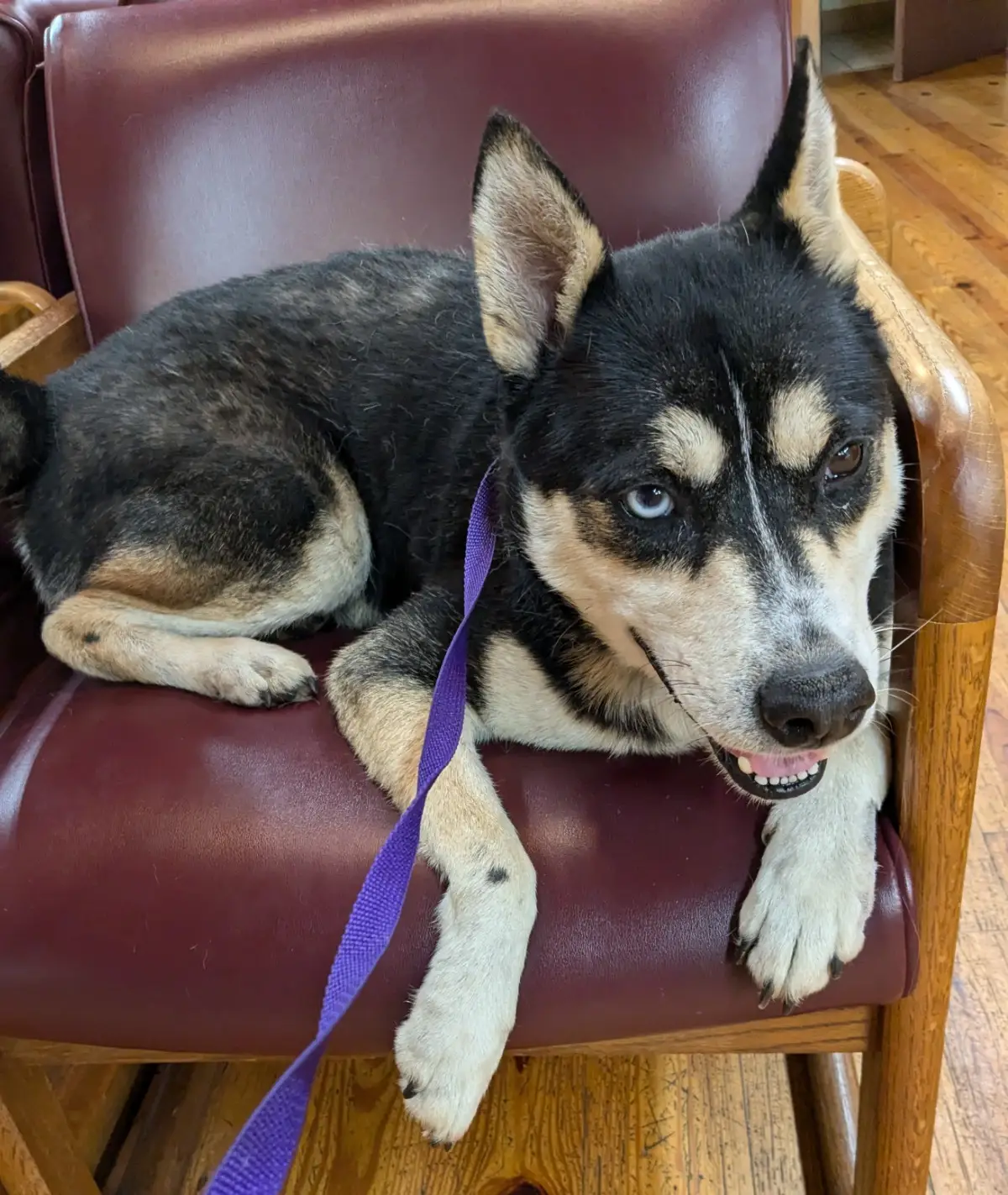 *NoahNeedsHelp Fundraiser by Blair Ogburn on *spotfund