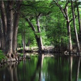 Mackinnon Christmas 2025