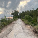 Florida Trails