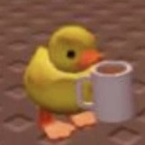 Gabriela Rodriguez-Flores