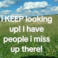 Mindracer Truthchaser