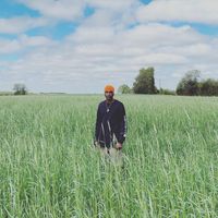 Dolo Bee
