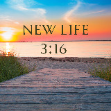 New Life 3:16