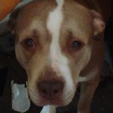 Crystal Moore-luttrell