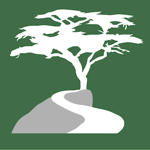 Cypress River Advisors