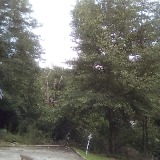 Leonard Higginbotham