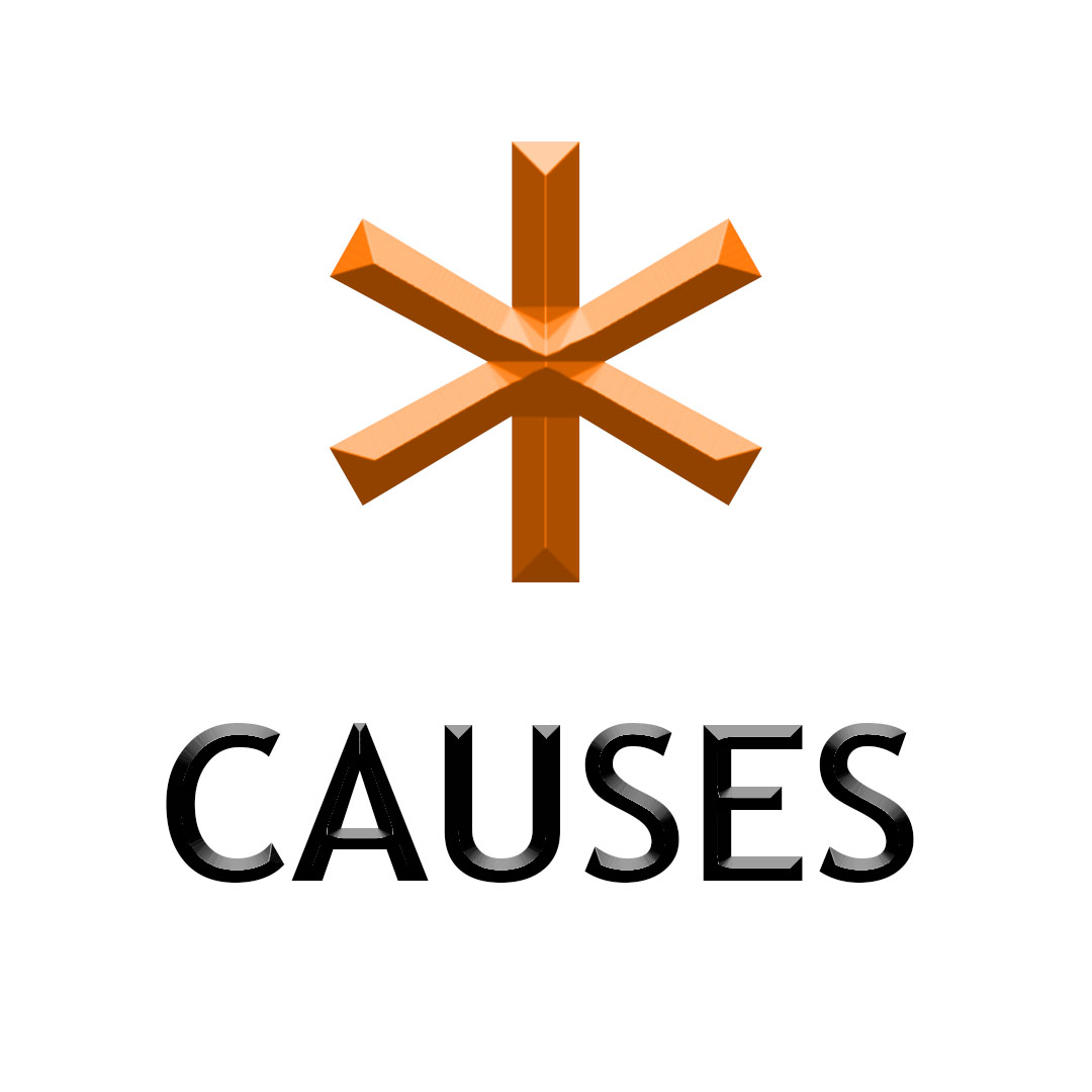 Spotfund Causes